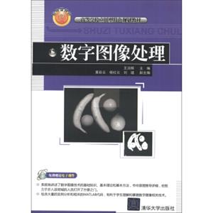 高等学校应用型特色规划教材：数字图像处理