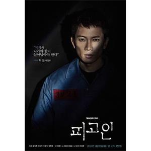 被告人 피고인(2017)