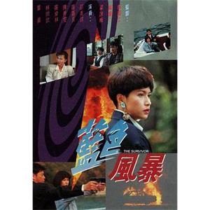 蓝色风暴 藍色風暴(1991)