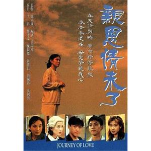 亲恩情未了 親恩情未了(1995)