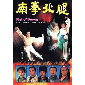 南拳北腿(1995)