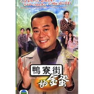 翻新大少(2005)