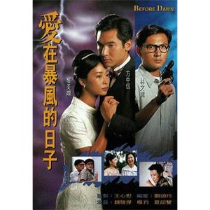 爱在暴风的日子 愛在暴風的日子(1995)