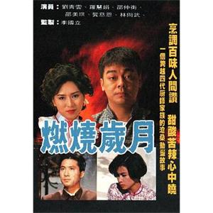 燃烧岁月 燃燒歲月(1990)