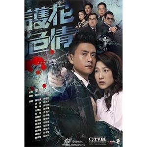 护花危情 護花危情(2012)