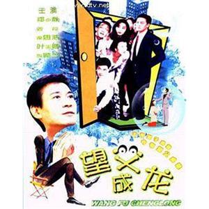 望父成龙(1991)