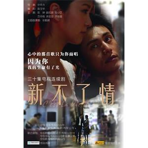 新不了情(2008)