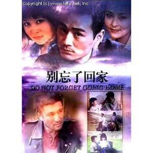 不完美的爱情(2006)