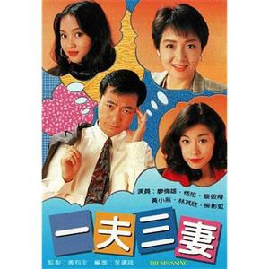 一夫三妻(1993)