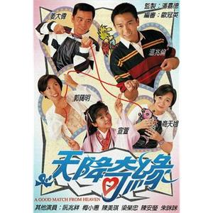 天降奇缘 天降奇緣(1995)