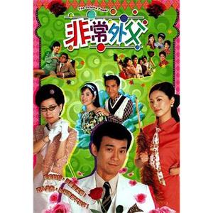 非常外父(2003)