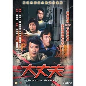 大丈夫(1977)