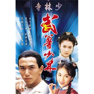 武尊少林(1993)