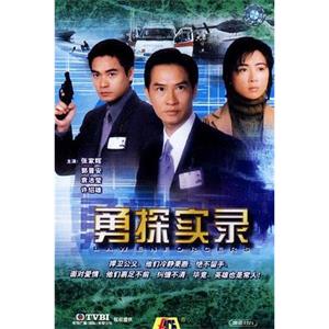 勇探实录(2001)