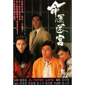 命运迷宫 命運迷宮(1990)