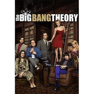 生活大爆炸 第九季 The Big Bang Theory Season 9(2015)