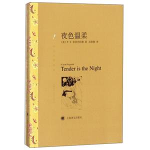 文学名著·译文名著精选：夜色温柔