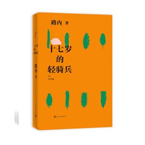 十七岁的轻骑兵(路内全新力作)