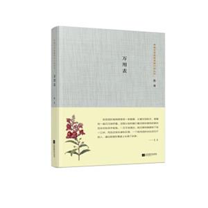 茅盾文学奖获奖者小说丛书：万用表