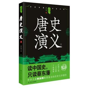 中国历代通俗演义：唐史演义（下）