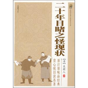 中国古典小说普及文库：二十年目睹之怪现状