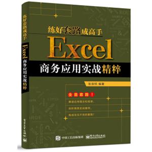 练好套路成高手：Excel商务应用实战精粹