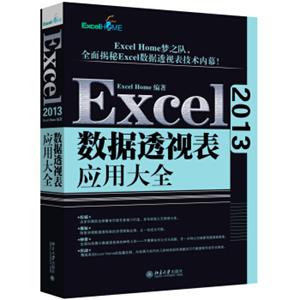 Excel2013数据透视表应用大全