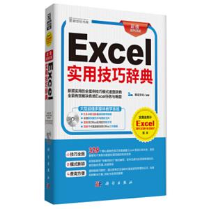 Excel实用技巧辞典（DVD）