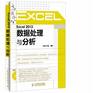 Excel2013数据处理与分析