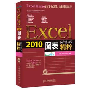 实战技巧精粹：Excel2010图表（含光盘）