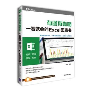 有图有真相：一看就会的Excel图表书