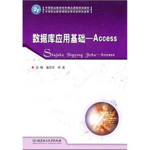 数据库应用基础：Access