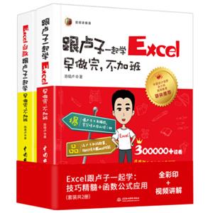 Excel跟卢子一起学：技巧精髓+函数公式应用（全彩版+视频讲解）（套装共2册）