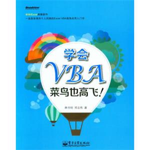 学会VBA，菜鸟也高飞！（双色）