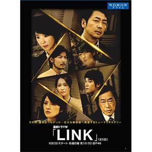 LINK(2013)