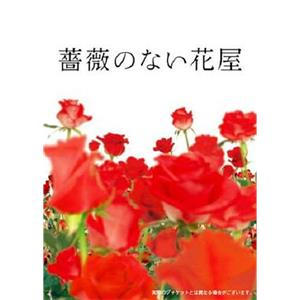 没有玫瑰的花店 薔薇のない花屋(2008)