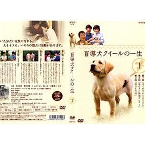 导盲犬小Q之一生 盲導犬クィールの一生(2003)