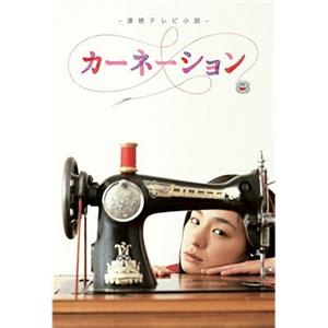 康乃馨 カーネーション(2011)