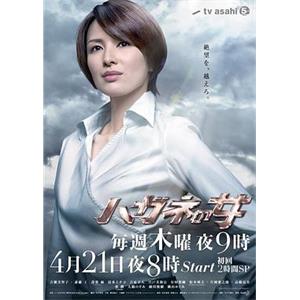 钢之女 ハガネの女(2010)