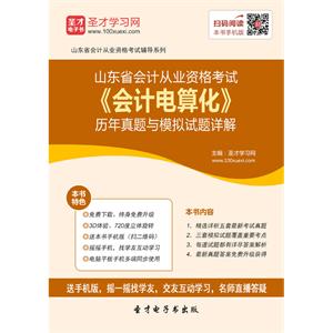 山东省会计从业资格考试《会计电算化》历年真题与模拟试题详解