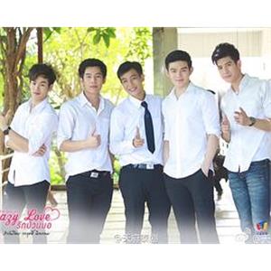 爱疯学院 Crazy Love รักป่วนมอ(2015)