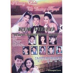 芳草斜阳外(1993)