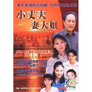 小丈夫 妻大姐(1999)