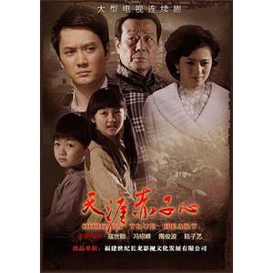 天涯赤子心(2010)