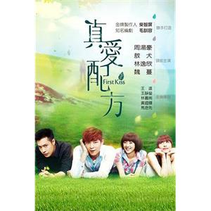 真爱配方 真愛配方(2013)