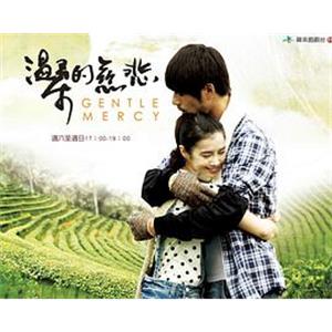 温柔的慈悲 溫柔的慈悲(2012)