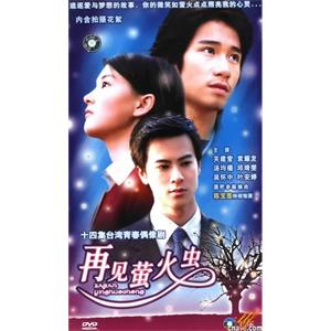 再见萤火虫(2002)