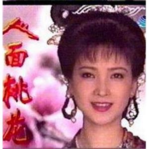 人面桃花(1995)