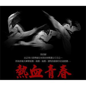 热血青春(2009)