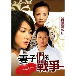 妻子们的战争(2010)